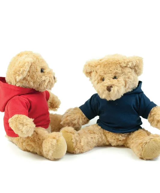 Teddy hoodies for children